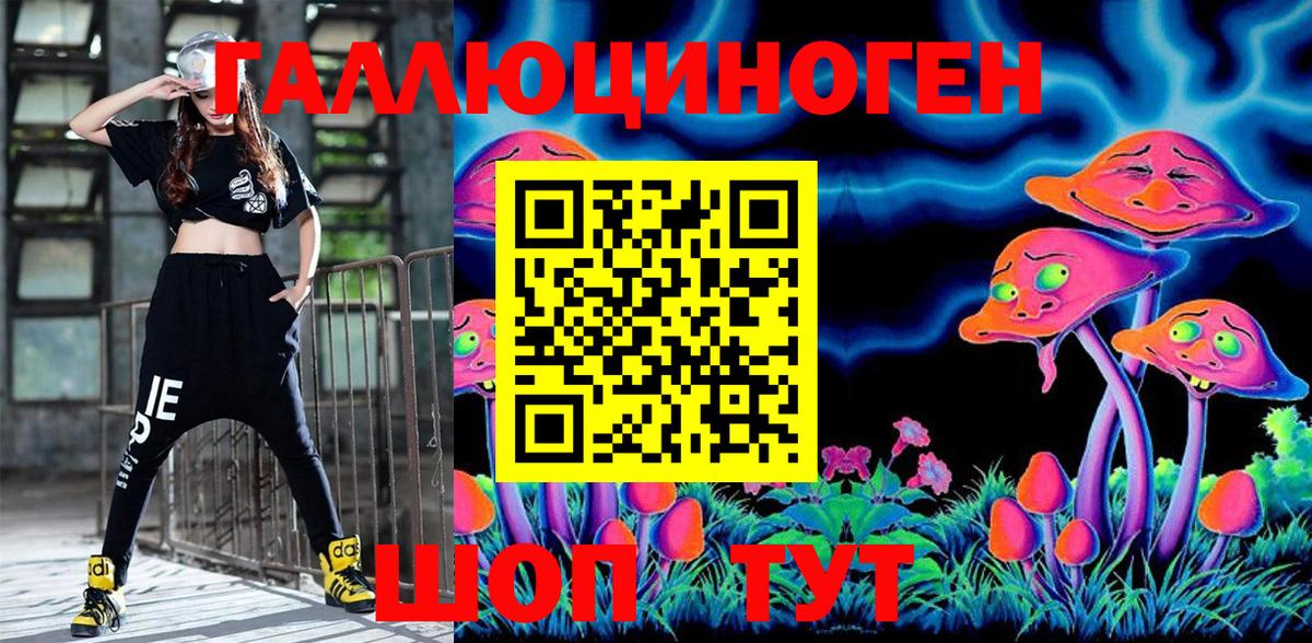 Волгодонск  Псилоцибиновые грибы GOLDEN TEACHER  Вход с VPN 