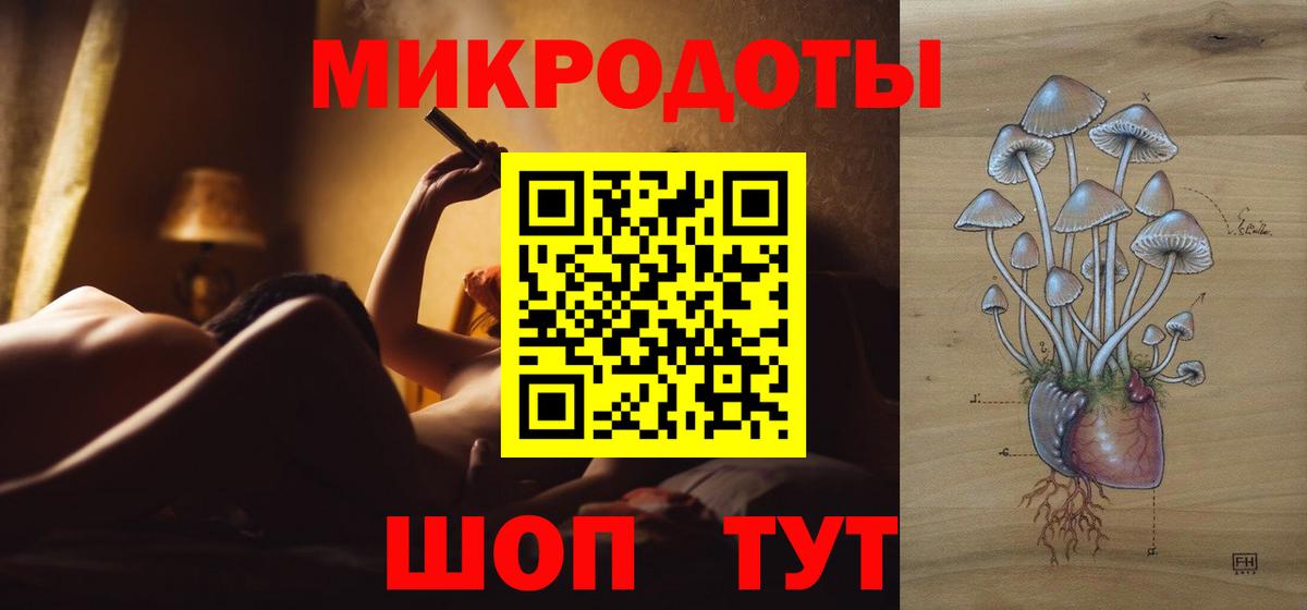 Псилоцибиновые грибы Psilocybe Волгодонск